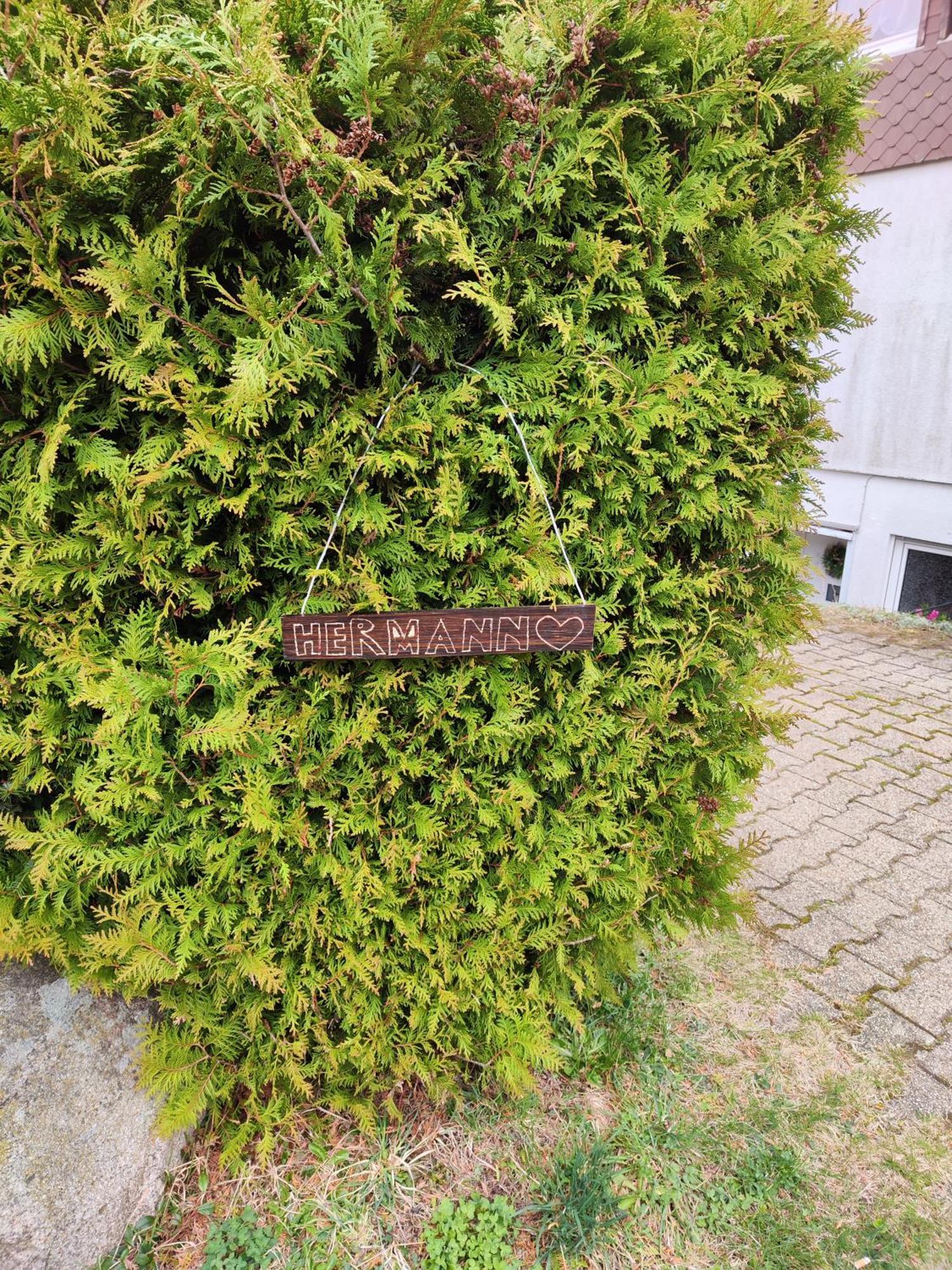 Ferienhaus Hermann Schönwalde Zewnętrze zdjęcie